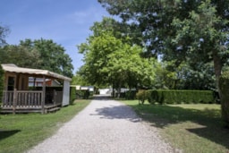 Kampeerplaats(en) - Pakket: Standplaats + Caravan - Camping Les Arbousiers