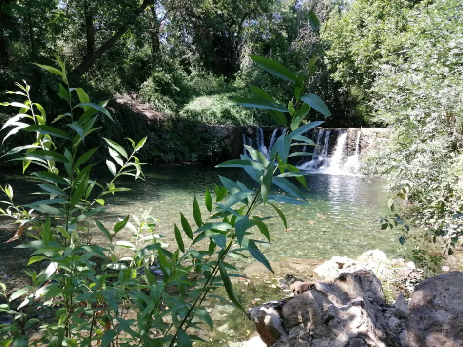 Camping Les Terrasses