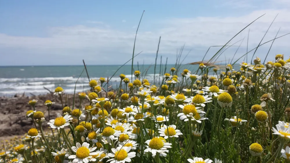 Camping Les Terrasses