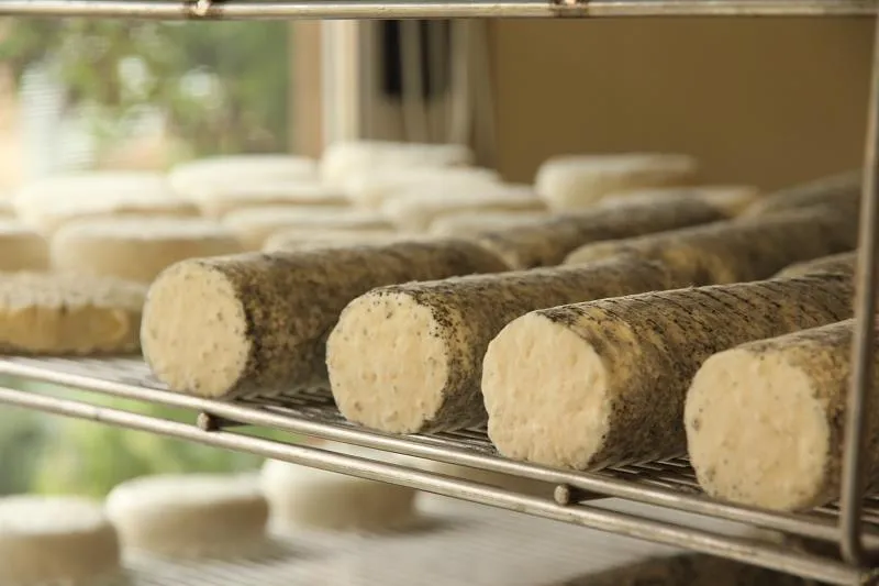 Camping Paradis les Rives de l'Adour