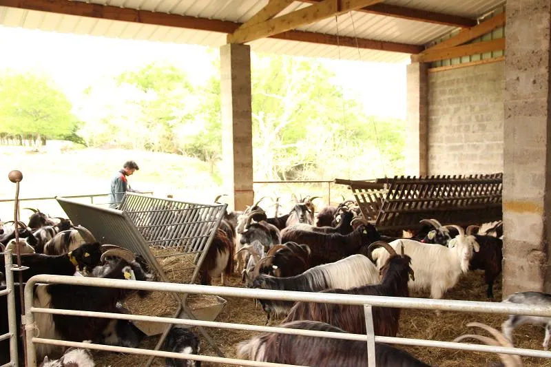 Camping Paradis les Rives de l'Adour