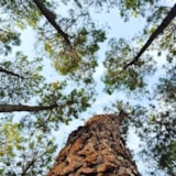 Foto #16 van Camping l’Océane