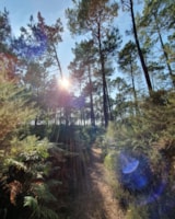 Foto #14 van Camping l’Océane