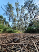 Foto #15 van Camping l’Océane