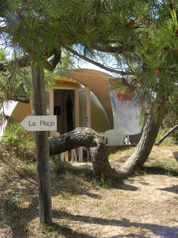 Coco Sweet- Kon Tiki - 2 Chambres - 16M²