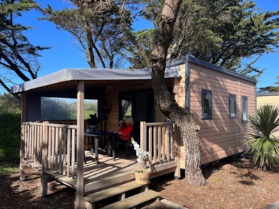 Mobile-home Tiki Lodge 1 bedroom 19.50² — 9