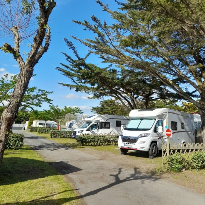 Emplacement + Véhicule + Électricité 10 Ampères