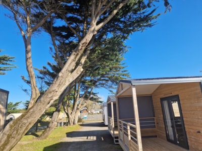 Mobile-home Savana Lodge 2 bedrooms 24m² — 4