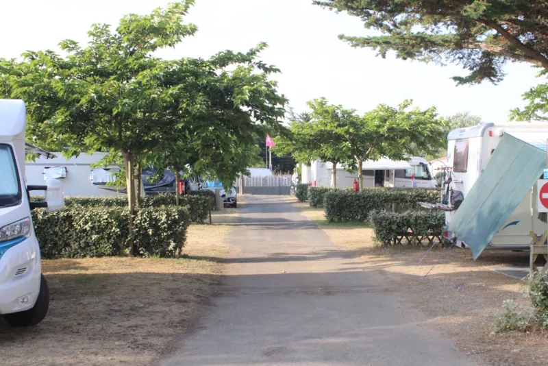 Emplacement + Véhicule + Électricité 10 Ampères