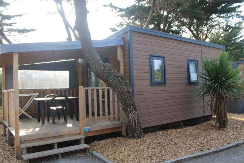 Mobil-Home Tiki Lodge - 1 Chambre - 19.50²