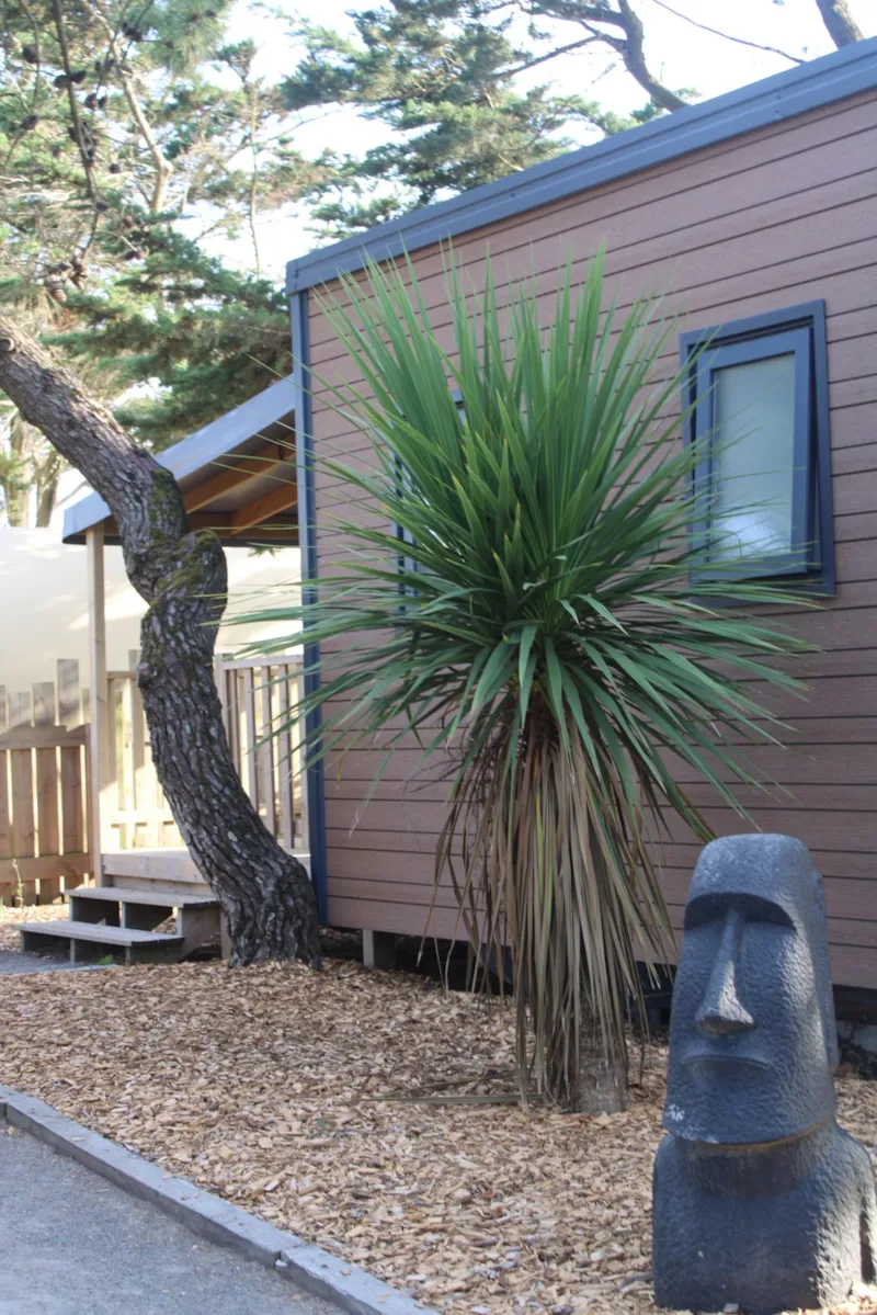 Mobil-Home Tiki Lodge - 1 Chambre - 19.50²
