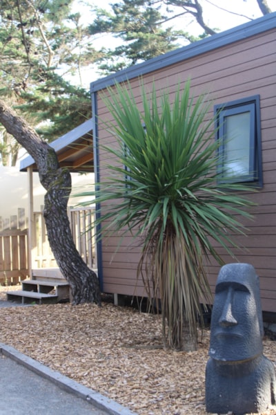 Mobile-home Tiki Lodge 1 bedroom 19.50² — 2