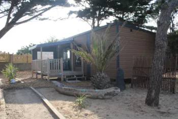 Accommodation - Mobile-Home Timoé Lodge 2 Bedrooms 29.50M² - Camping - Club Mahana