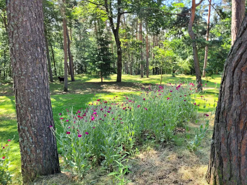 Emplacements Pour Caravanes, Tentes Et Camping-Cars