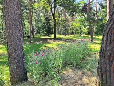 Camping pitches : tents, caravan, motorhome