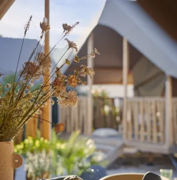 Mietunterkunft - Zeltbungalow  'Tente Lodge' 26M² - Camping La Rabine
