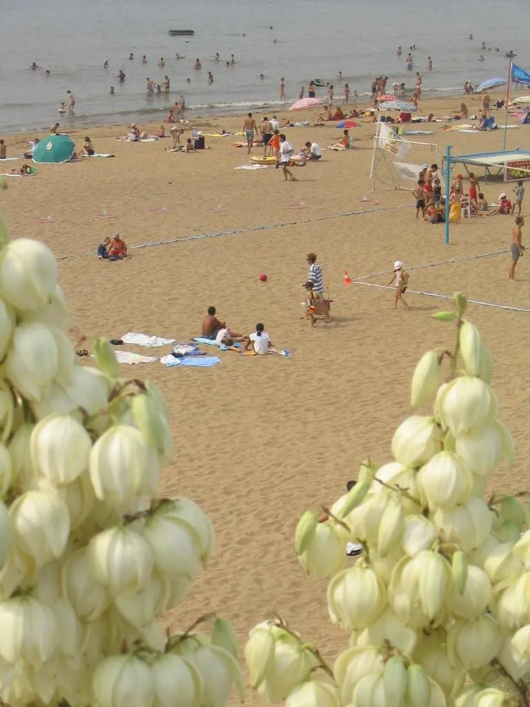 Camping Bel Essor - image n°11 - UniversalBooking