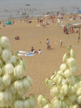 Foto #11 van Camping Bel Essor