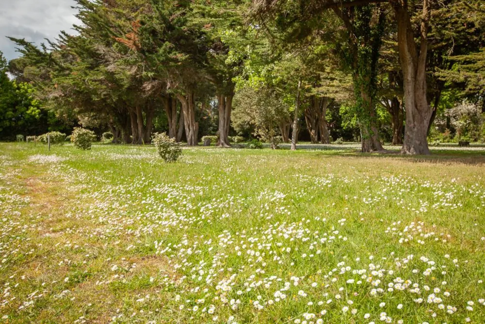 Emplacement Camping Sans Électricité