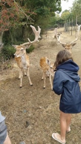Foto #2 van Camping La Guyonnière