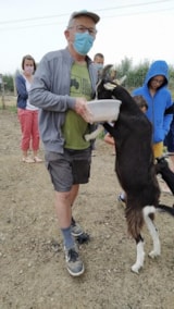 Foto #10 van Camping La Guyonnière