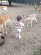 Foto #13 van Camping La Guyonnière