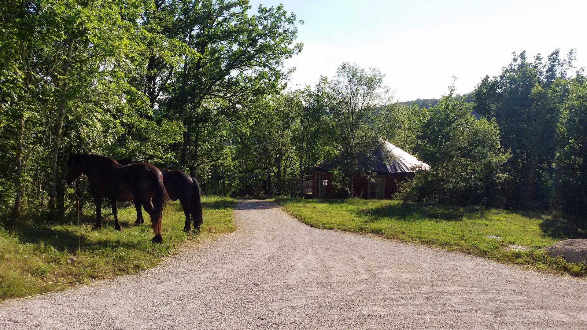 LES HAUTS D'ALBAS — Photo 5