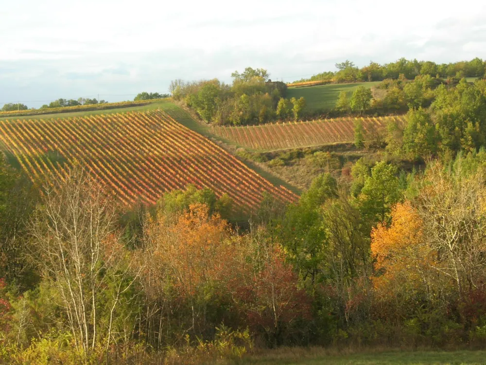 LES HAUTS D'ALBAS