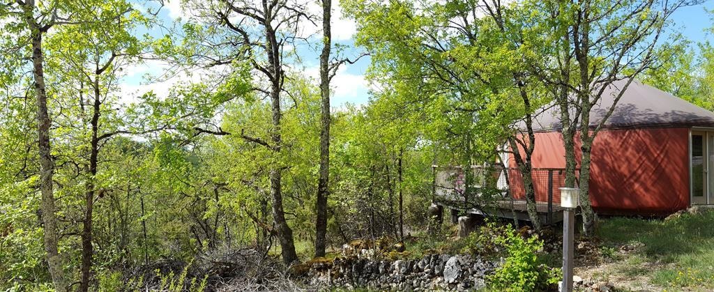 LES HAUTS D'ALBAS — Photo 10
