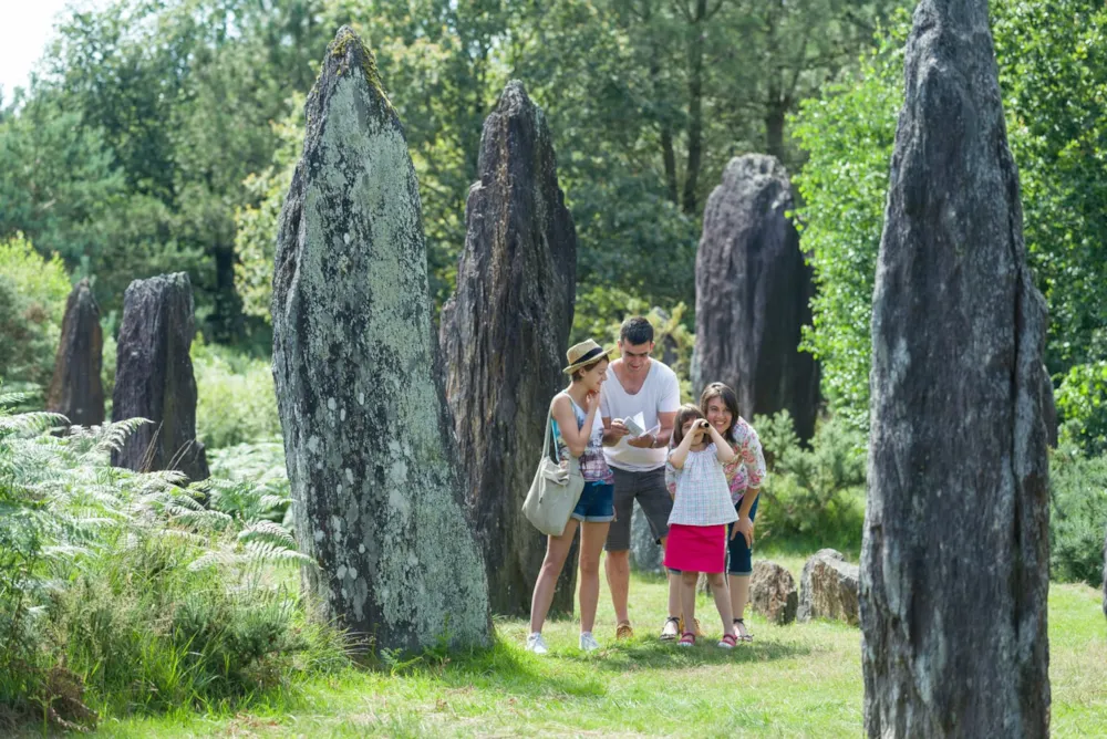 Camping du BOIS VERT