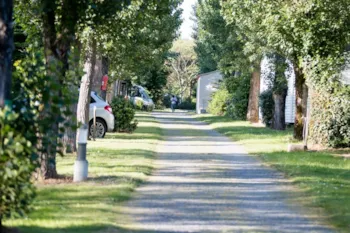 Pitch - Comfort Package (1 Tent, Caravan Or Motor Home / 1 Car / Electricity ) - Flower Camping Le Pavillon