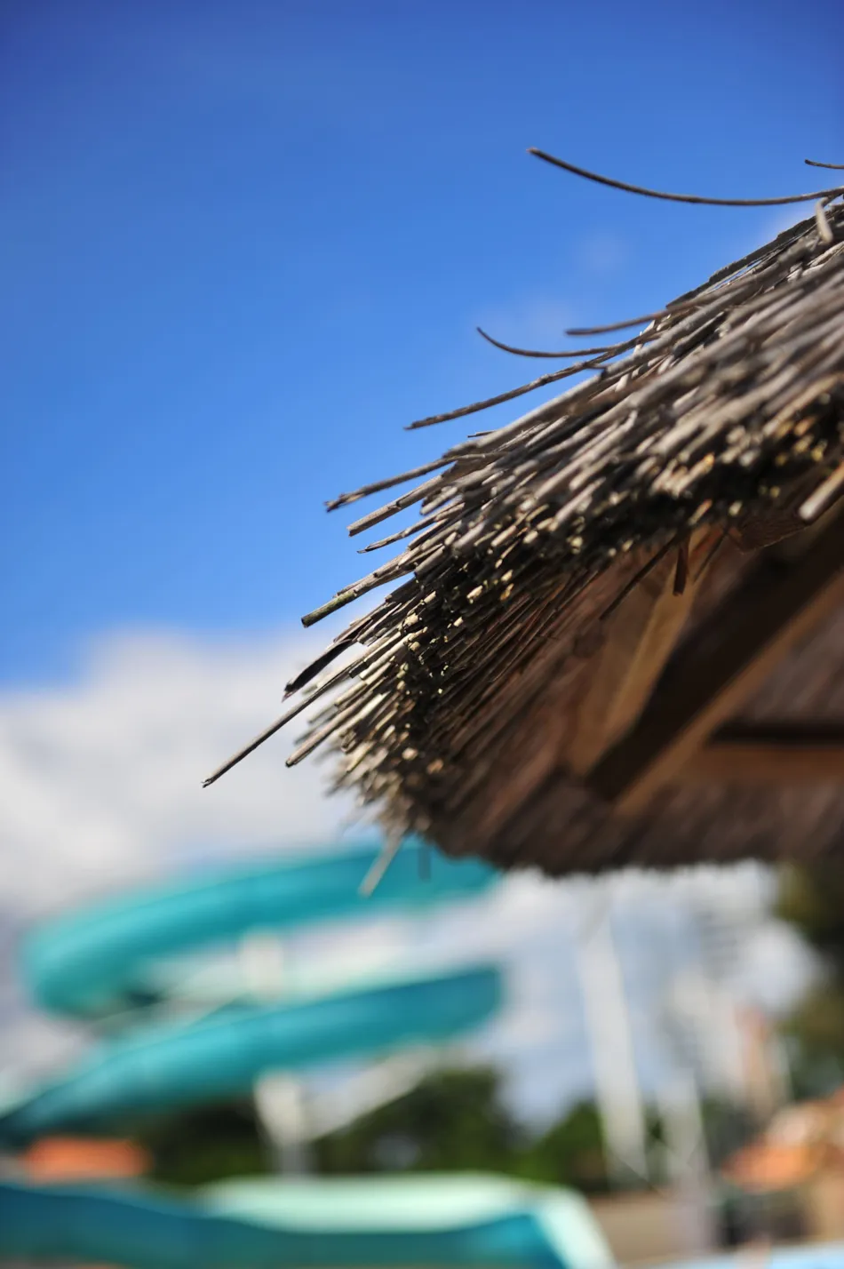 Flower Camping Le Pavillon