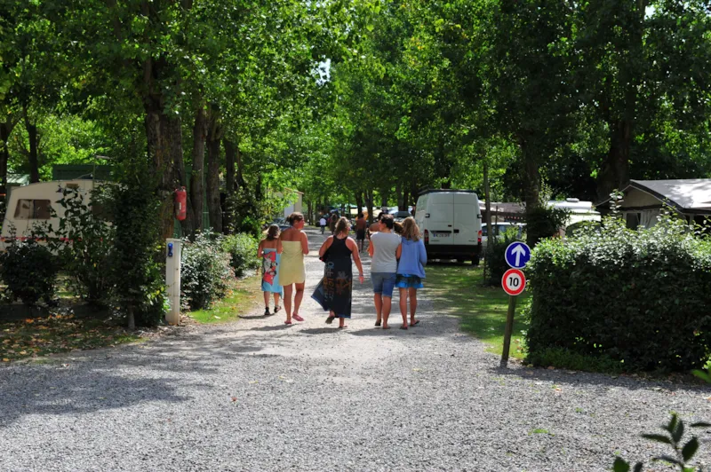 Forfait Confort (1 Tente, Caravane Ou Camping-Car / 1 Voiture / Électricité )