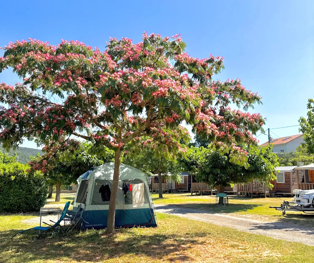 Camping Amélia
