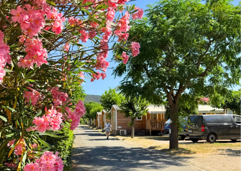 Camping Amélia