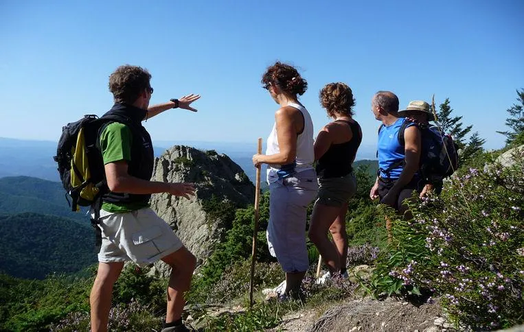 Flower Aloha Camping Club