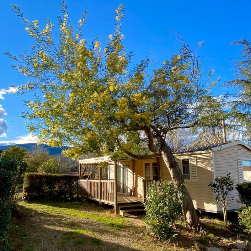 Cottage Premium Jasmin 34m²