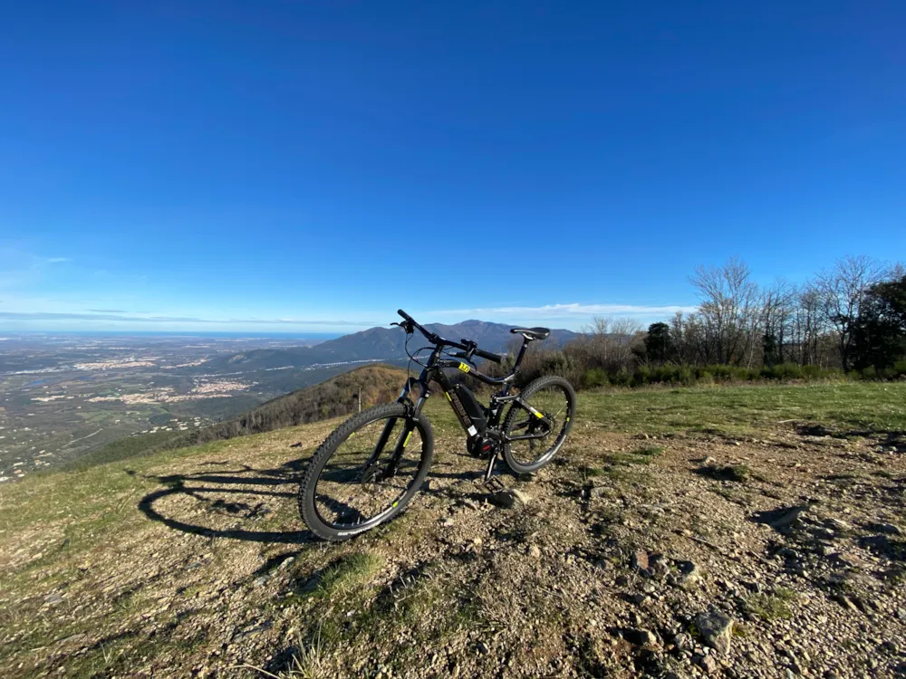 Flower Aloha Camping Club