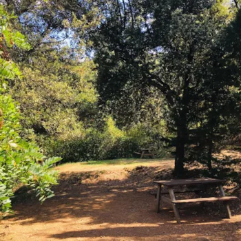 Stellplatz - Naturpaket Für 1 Bis 2 Personen - Flower Aloha Camping Club