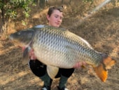 Camping du Domaine du Houssay