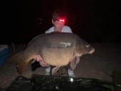 Camping du Domaine du Houssay