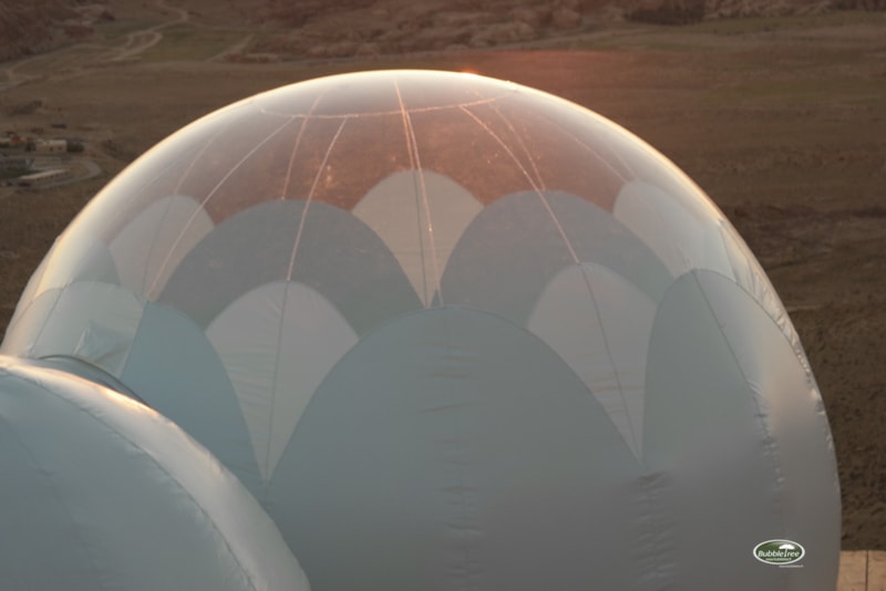 Bulle Fleur du jour 2 Pers.