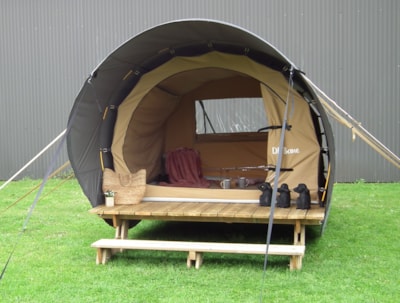Cosy Nest
