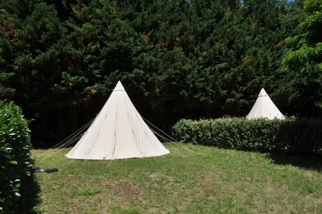 Tipi Tips
