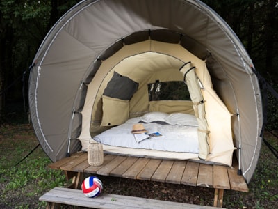 Cosy Nest