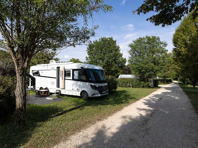 Sind Hunde auf Camping La Rivière Dorée erlaubt? photo 4