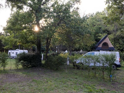 Comfort Package Plus ( 1 camper van / 1 van / 1 caravan / 1 car &1 tent with electricity )