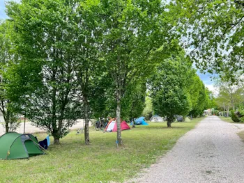 Pitch - Youth Solo Package - Aged 18-25 ( 1 Tent And 1 Bike ) 1 Pers. - Camping La Rivière Dorée