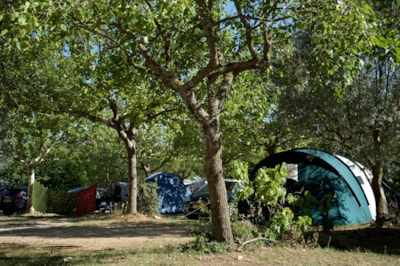 Pitch tent, caravan or motorhome