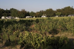 Camping Le Pastory - image n°2 - Roulottes